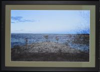 Framed photograph